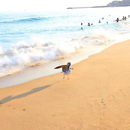 Appartamento Charming Blue