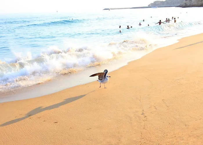 דירה Charming Blue