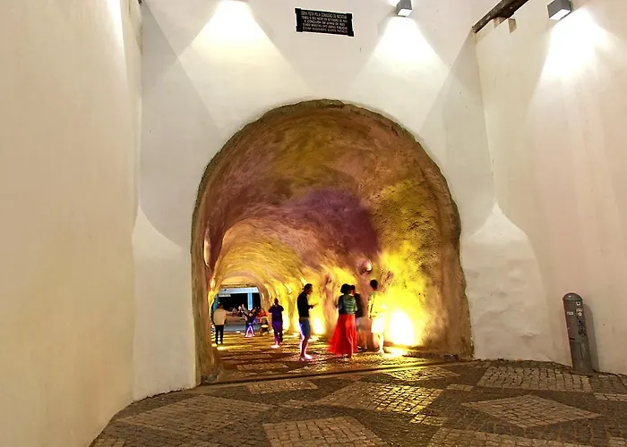 Charming Blue אלבופיירה