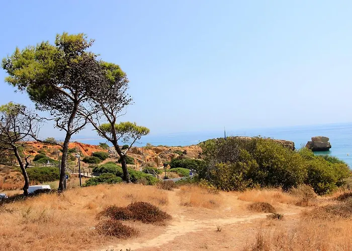 Charming Blue * 알부페이라